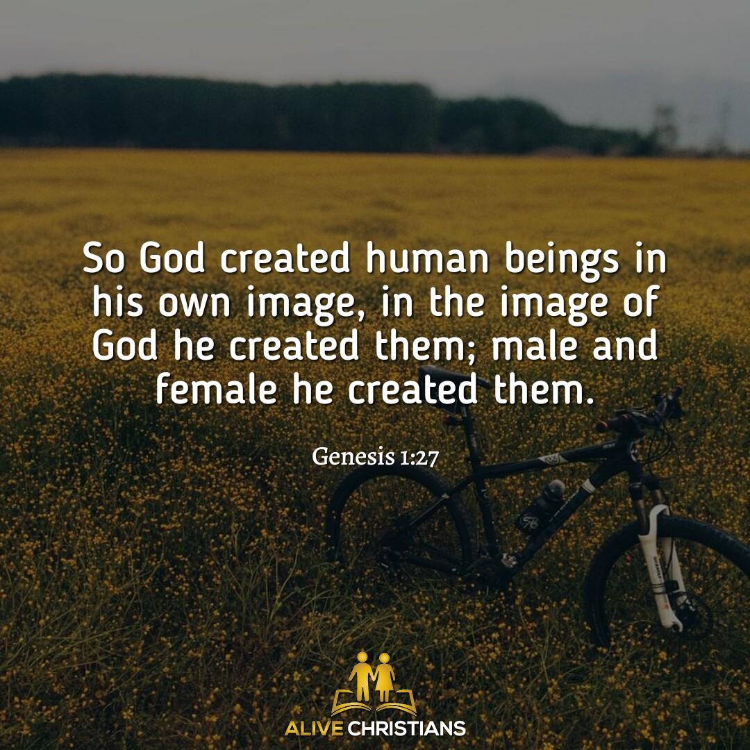 created in His image